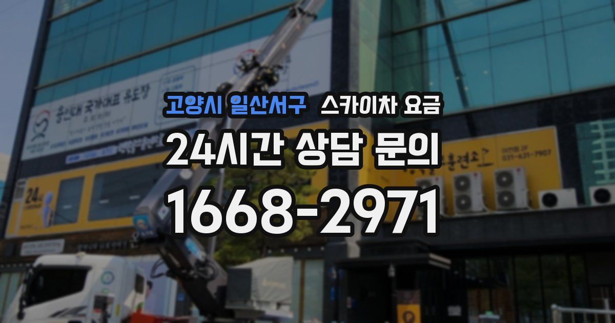 고양시 일산서구 스카이차 요금