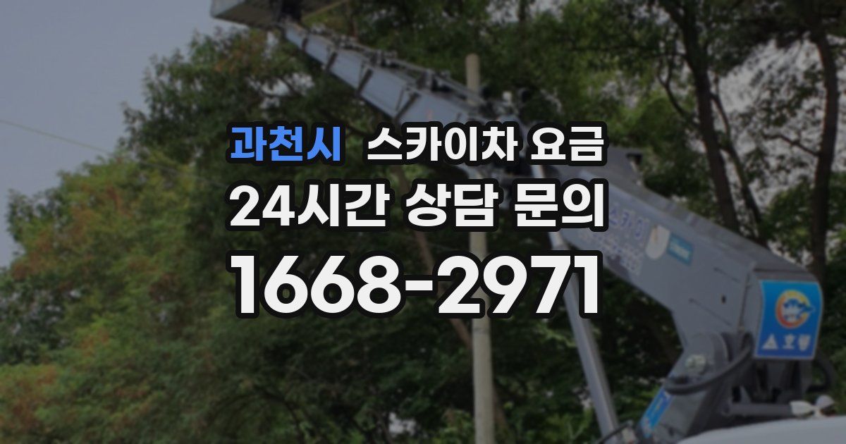 과천시 스카이차 요금