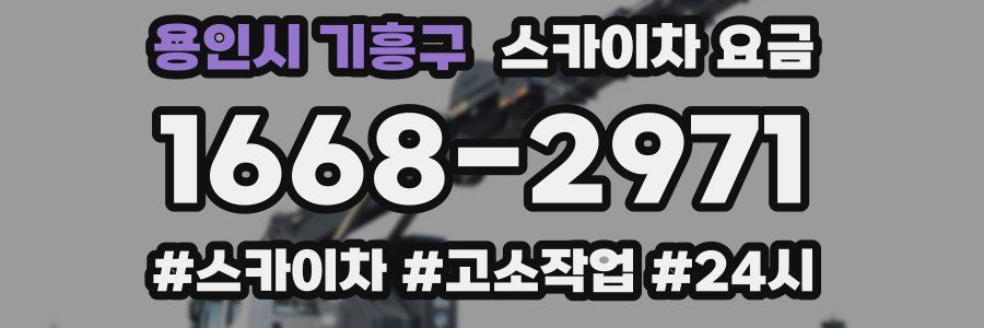 용인시 기흥구 스카이차 요금