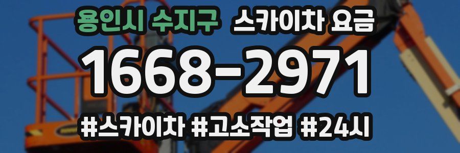 용인시 수지구 스카이차 요금