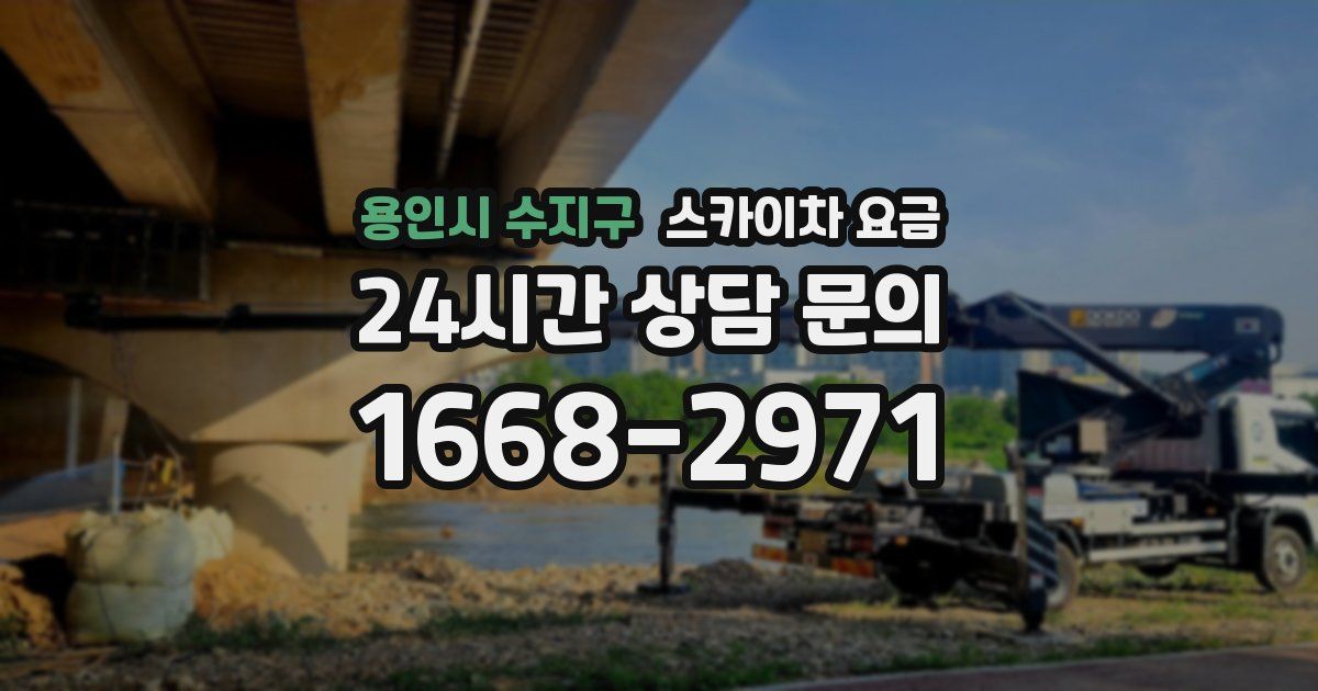 용인시 수지구 스카이차 요금