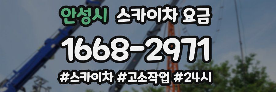 안성시 스카이차 요금