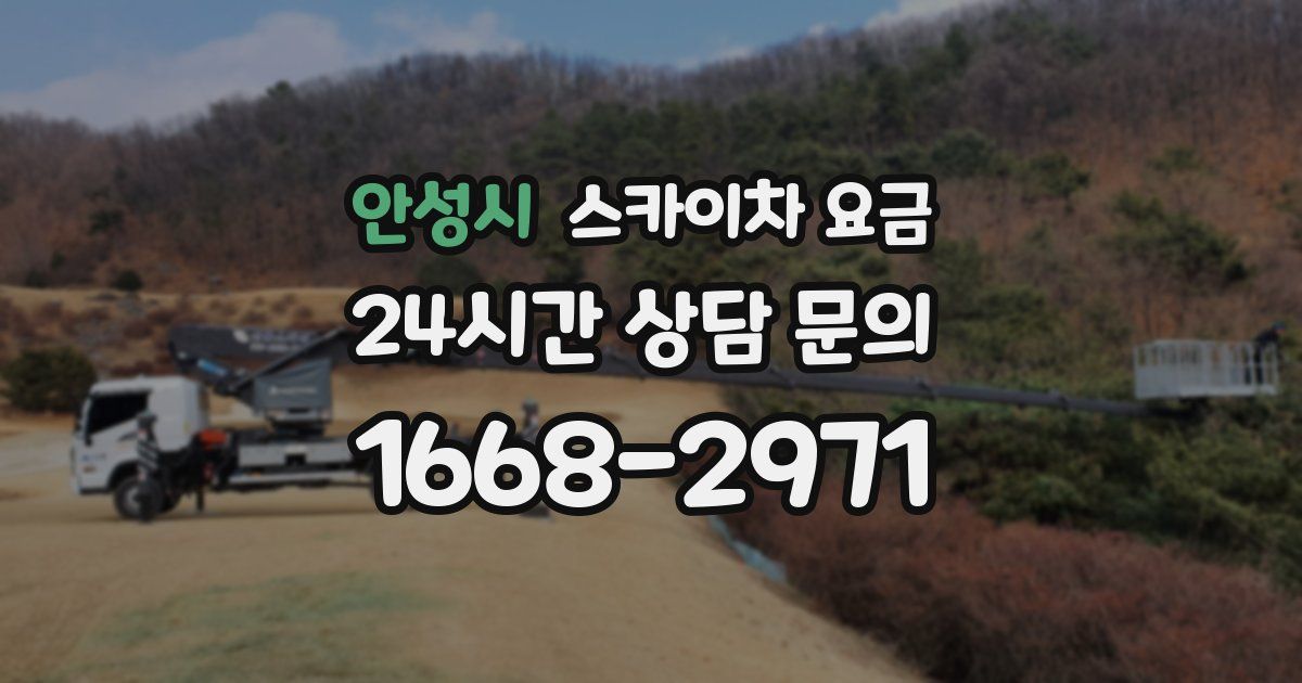 안성시 스카이차 요금
