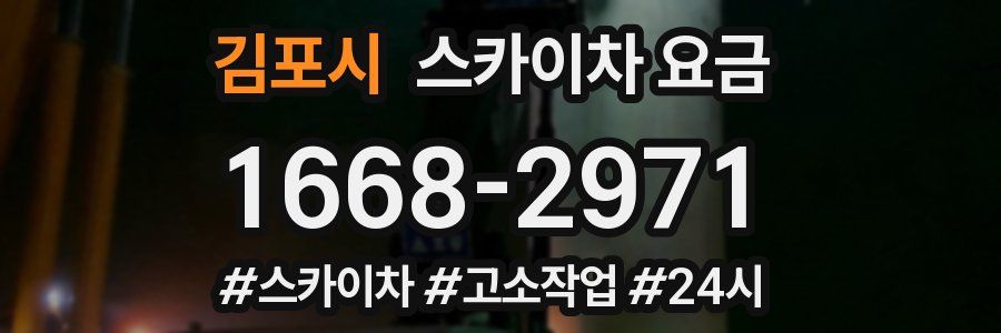 김포시 스카이차 요금