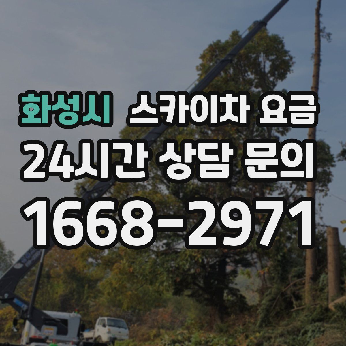화성시 스카이차 요금