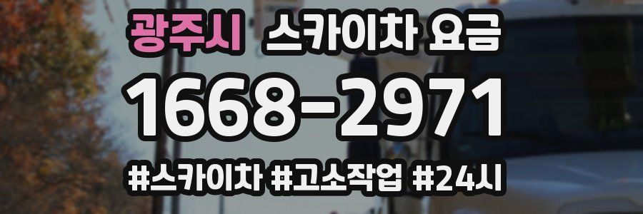 광주시 스카이차 요금