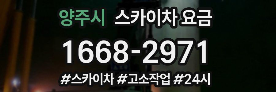 양주시 스카이차 요금