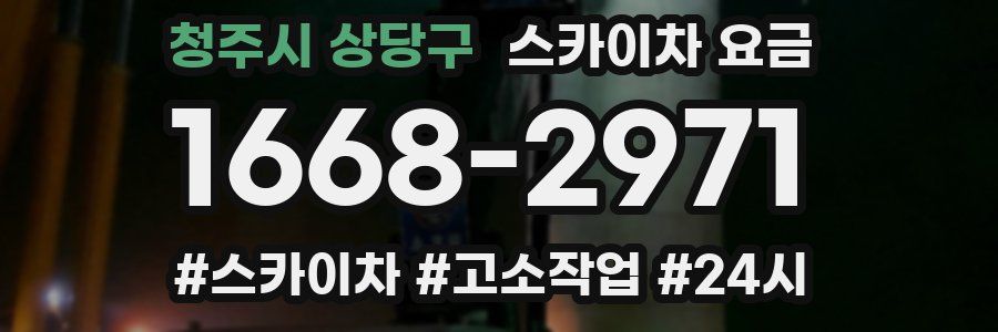 청주시 상당구 스카이차 요금