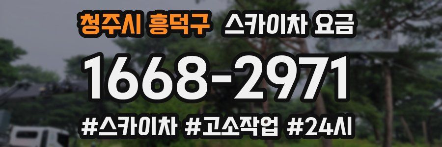 청주시 흥덕구 스카이차 요금