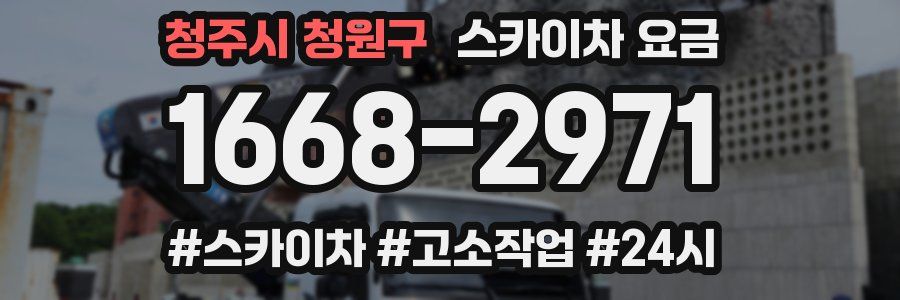 청주시 청원구 스카이차 요금
