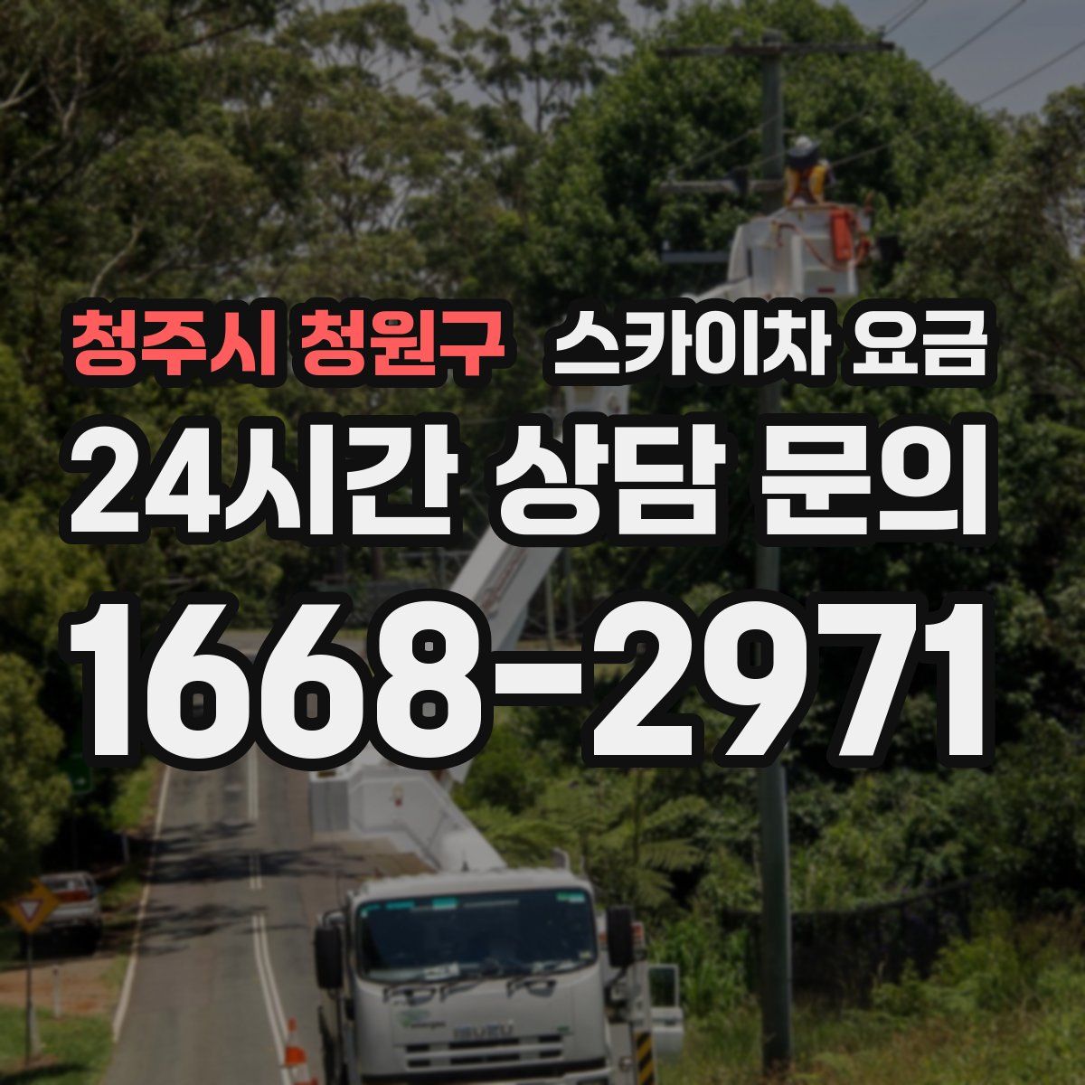 청주시 청원구 스카이차 요금