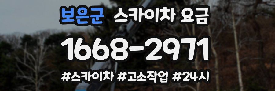 보은군 스카이차 요금