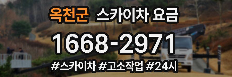 옥천군 스카이차 요금