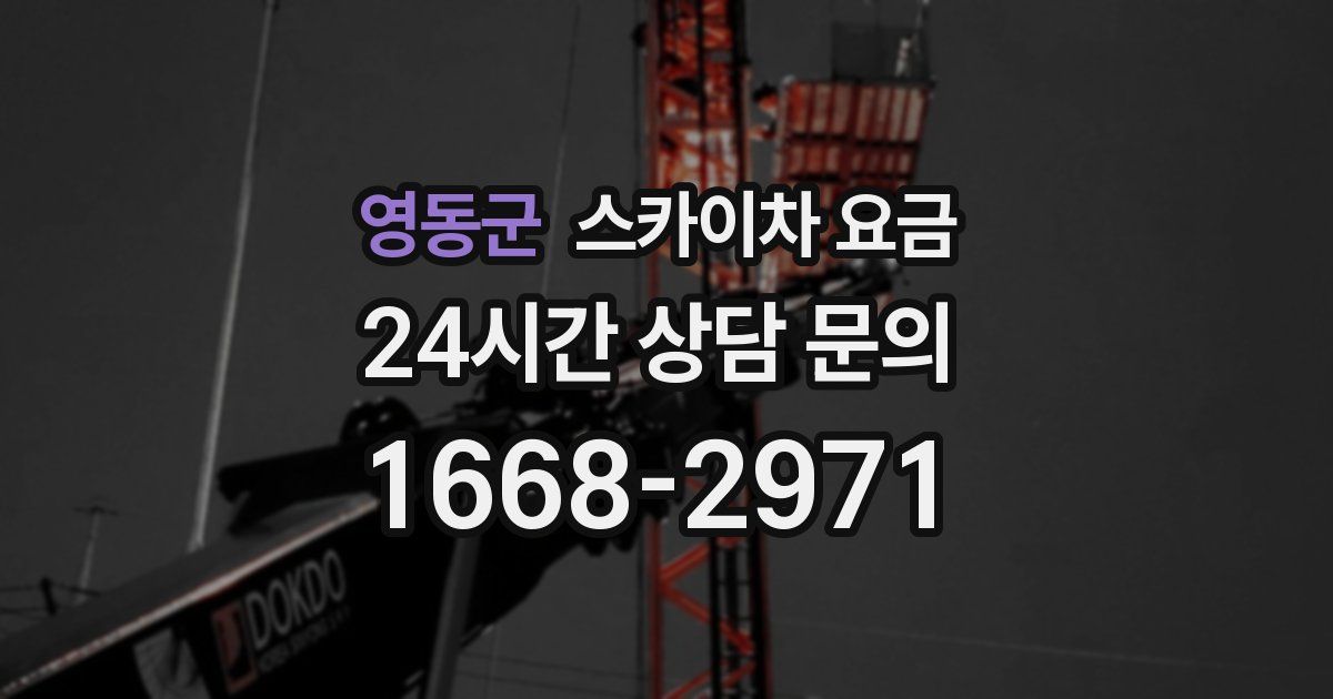 영동군 스카이차 요금