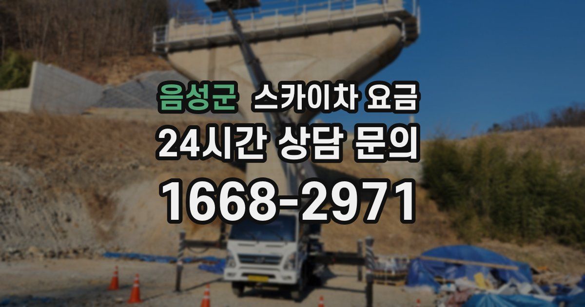 음성군 스카이차 요금