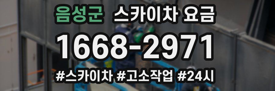 음성군 스카이차 요금