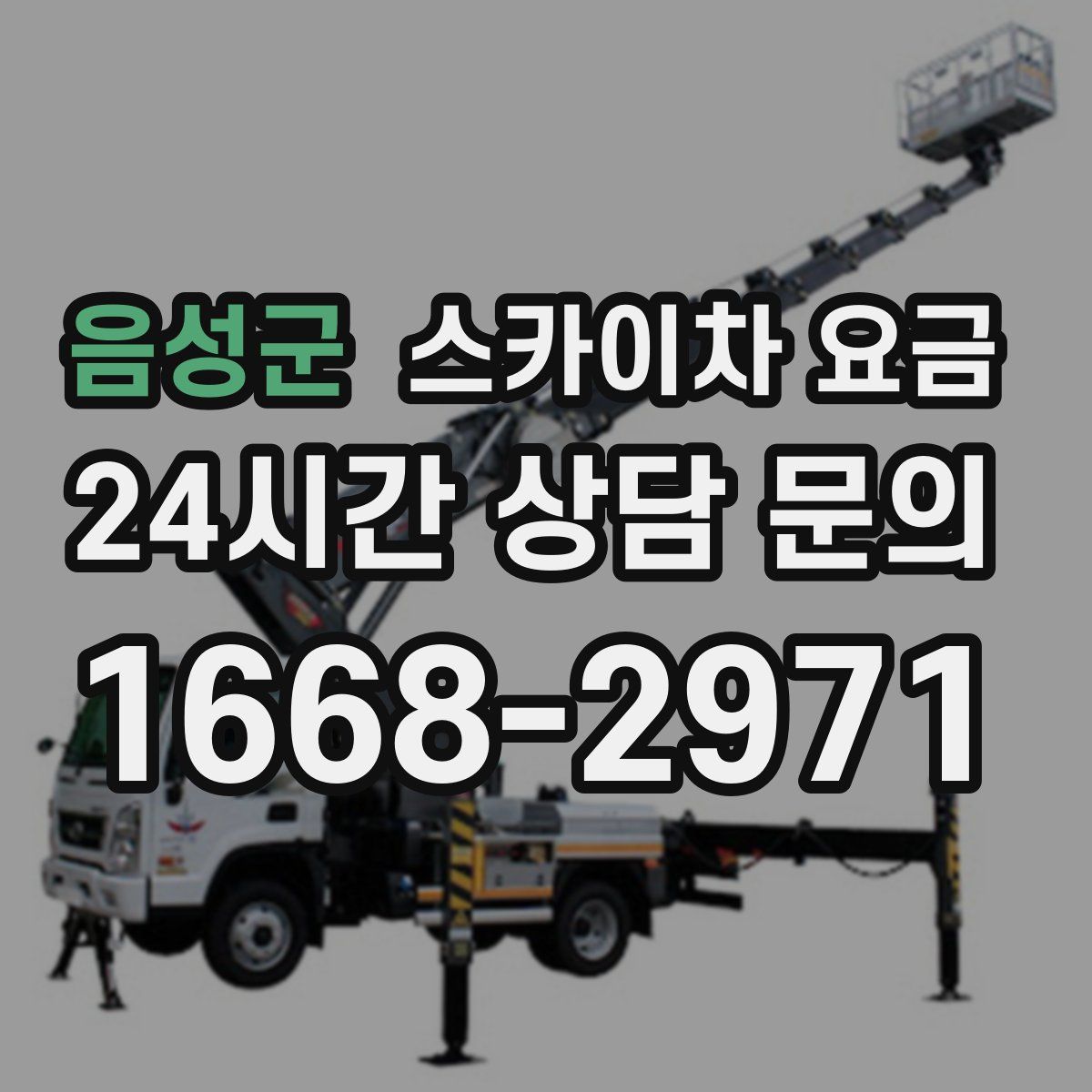 음성군 스카이차 요금