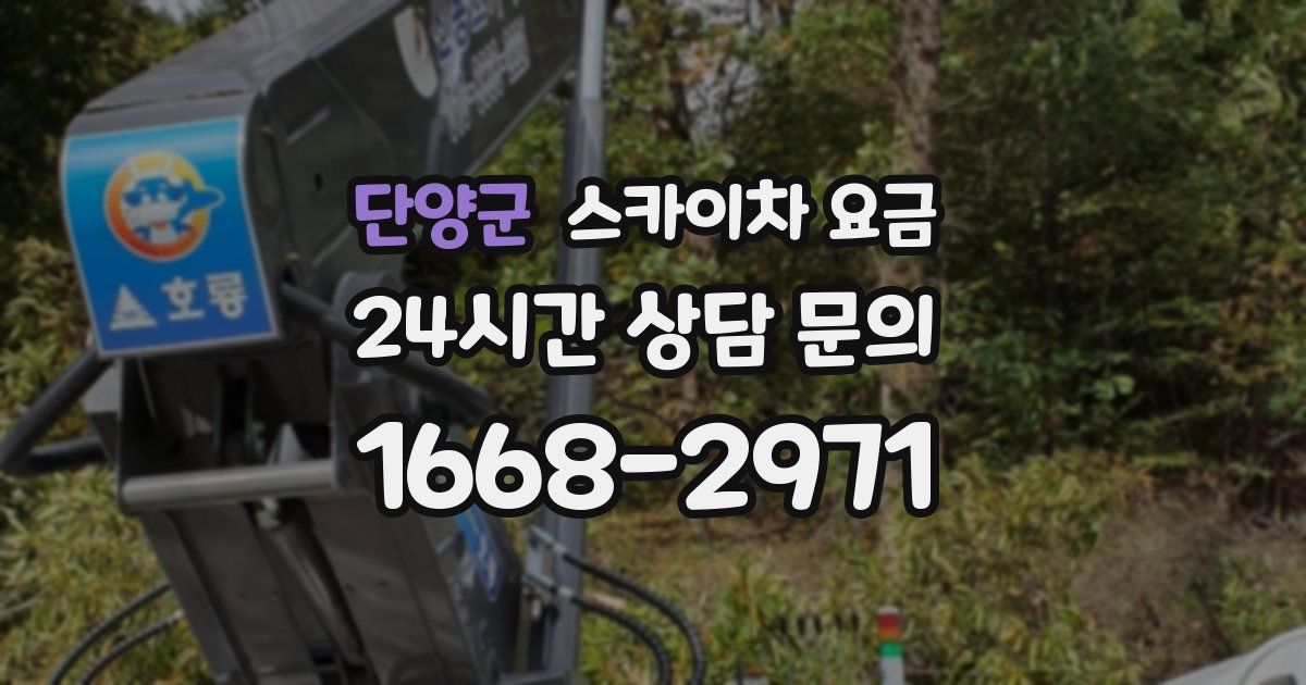 단양군 스카이차 요금
