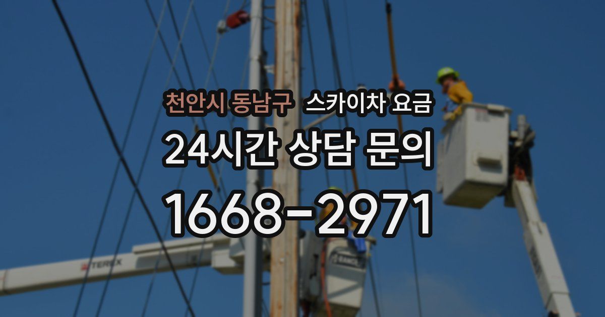 천안시 동남구 스카이차 요금
