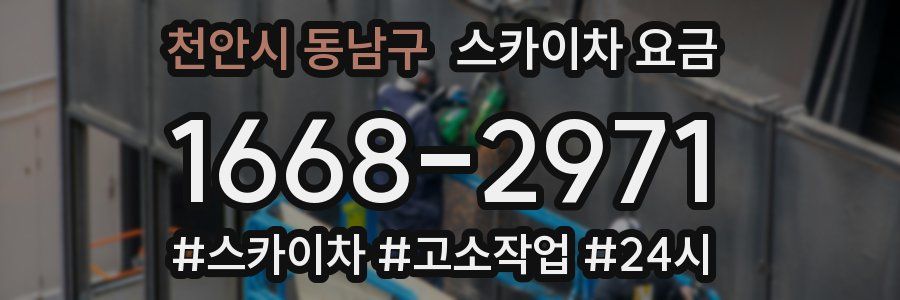 천안시 동남구 스카이차 요금