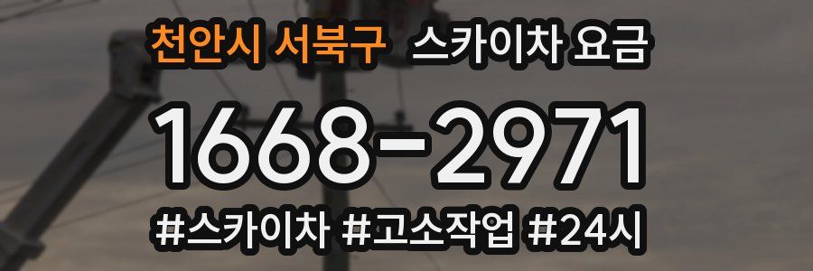 천안시 서북구 스카이차 요금