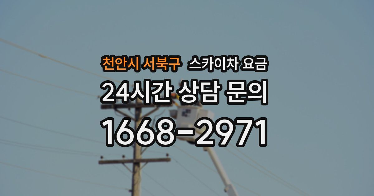 천안시 서북구 스카이차 요금
