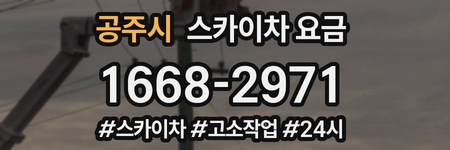 공주시 스카이차 요금