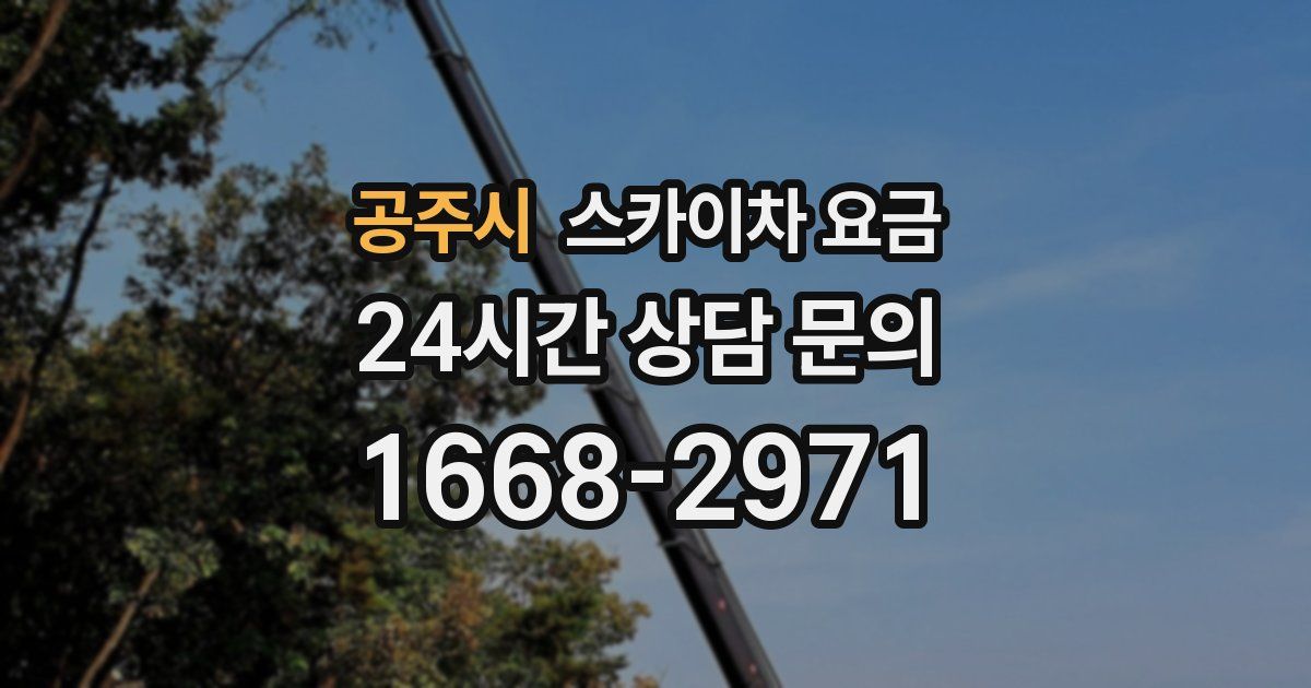 공주시 스카이차 요금