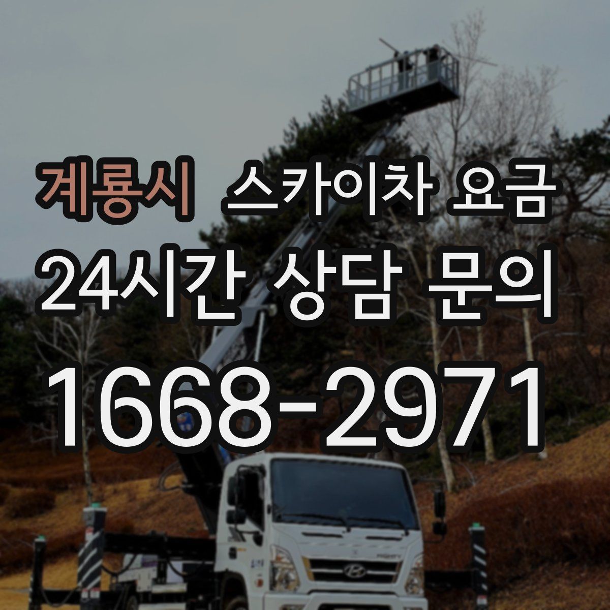 계룡시 스카이차 요금