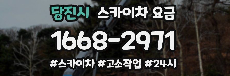 당진시 스카이차 요금