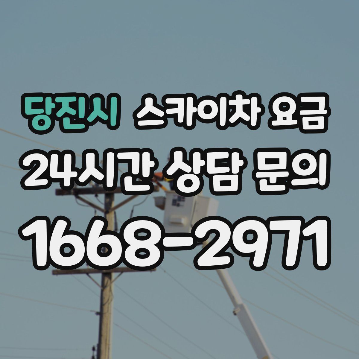 당진시 스카이차 요금