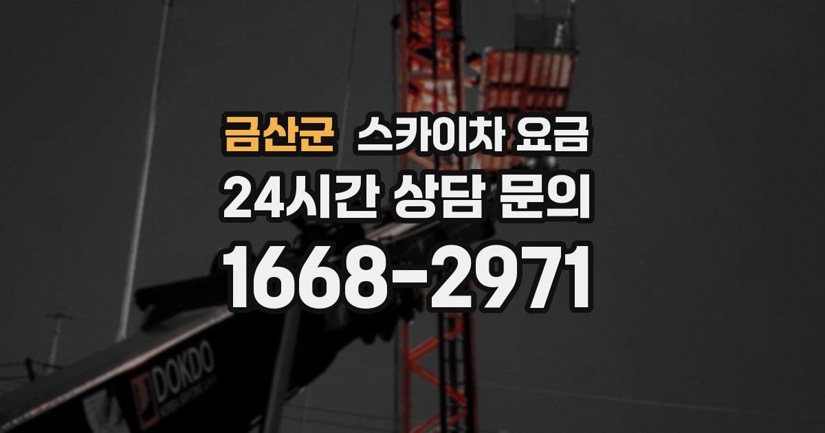 금산군 스카이차 요금