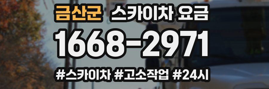 금산군 스카이차 요금