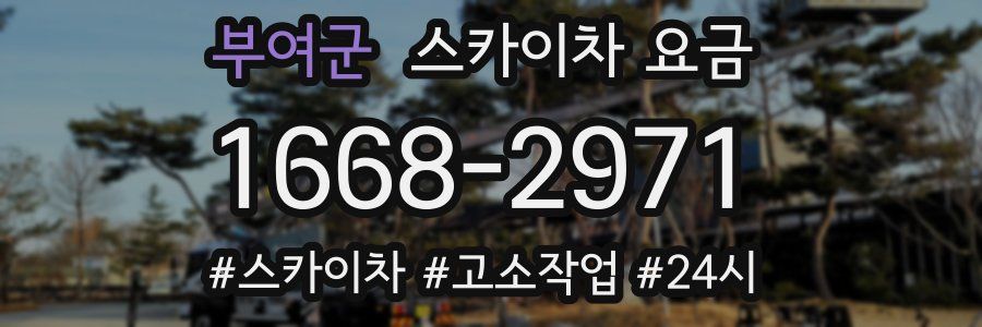 부여군 스카이차 요금
