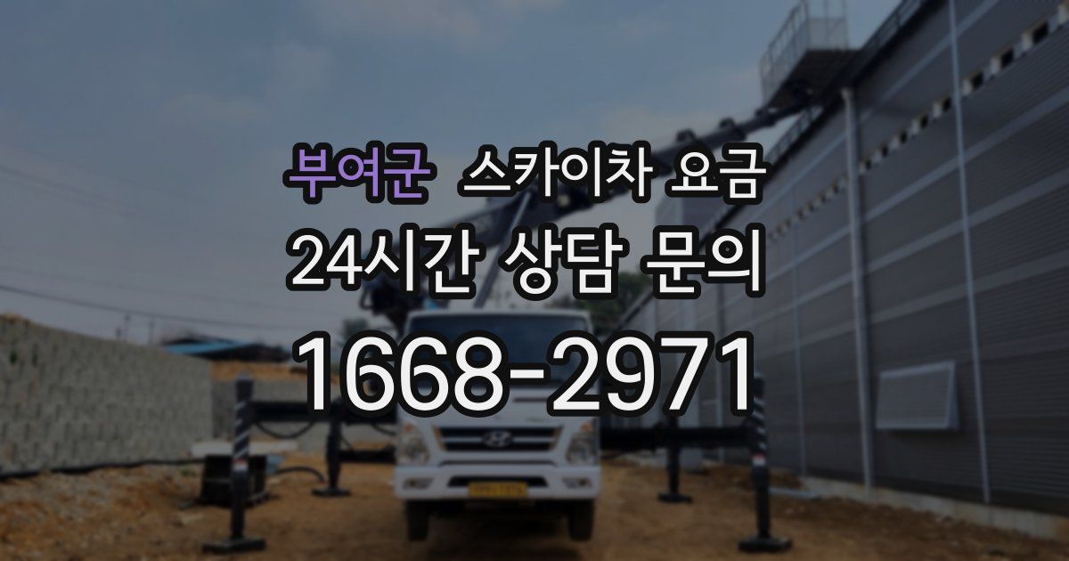 부여군 스카이차 요금