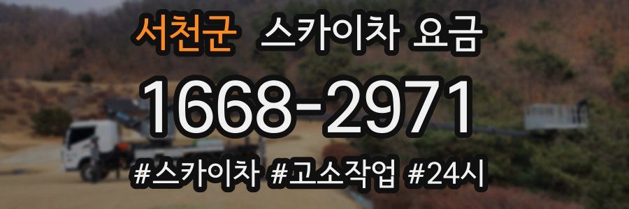 서천군 스카이차 요금