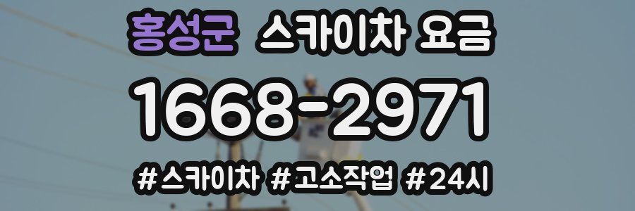 홍성군 스카이차 요금