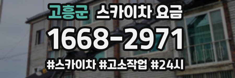 고흥군 스카이차 요금