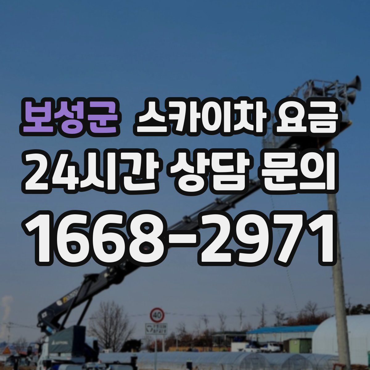 보성군 스카이차 요금
