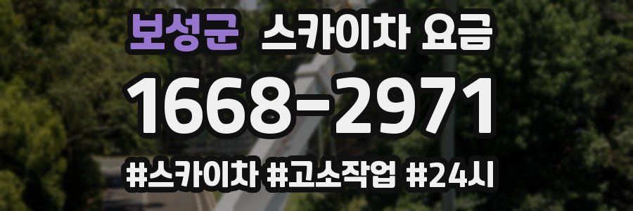 보성군 스카이차 요금