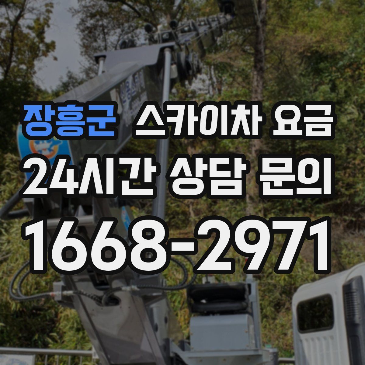 장흥군 스카이차 요금