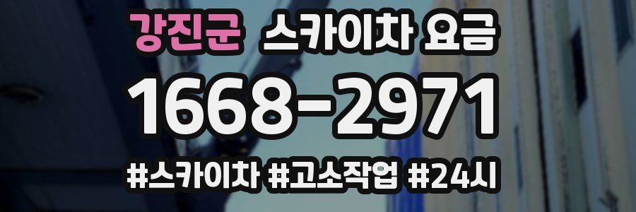 강진군 스카이차 요금