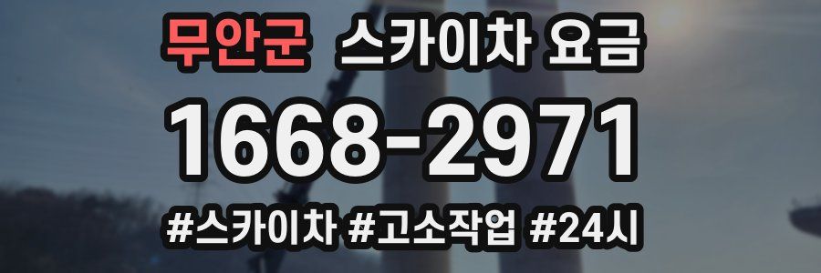 무안군 스카이차 요금