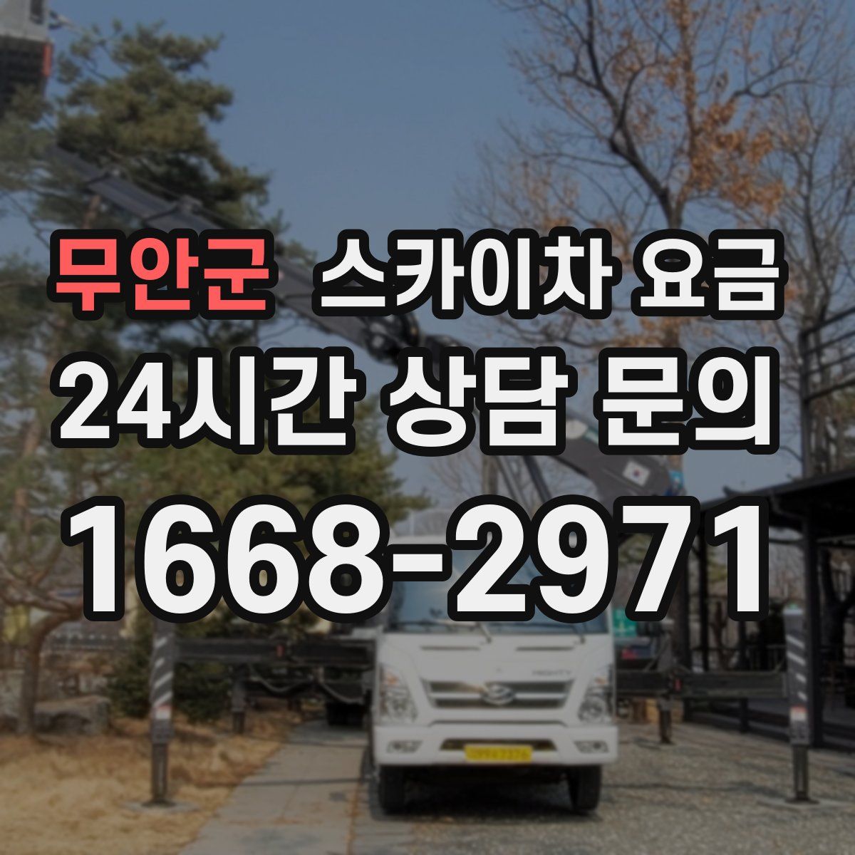 무안군 스카이차 요금