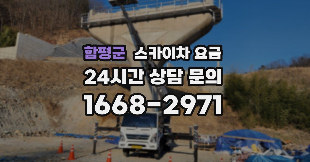 함평군 스카이차 요금