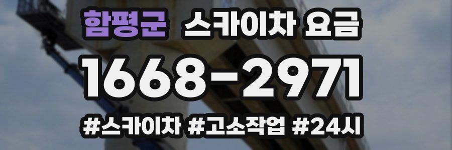 함평군 스카이차 요금