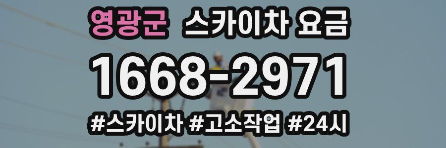 영광군 스카이차 요금