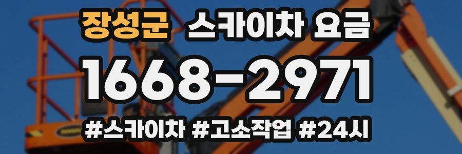 장성군 스카이차 요금