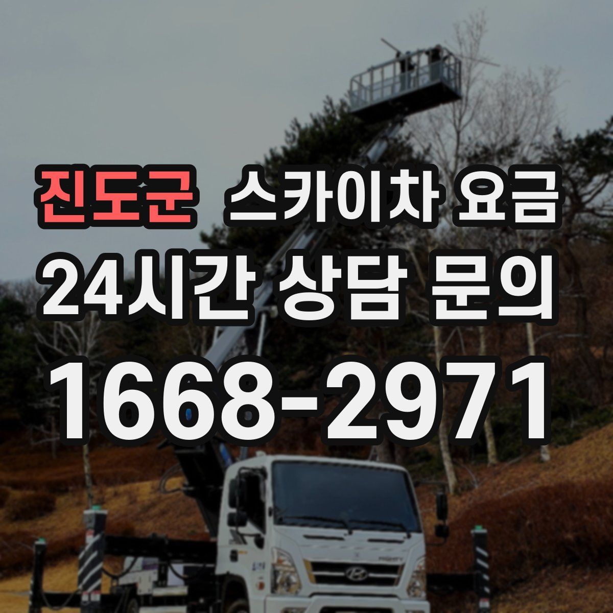 진도군 스카이차 요금