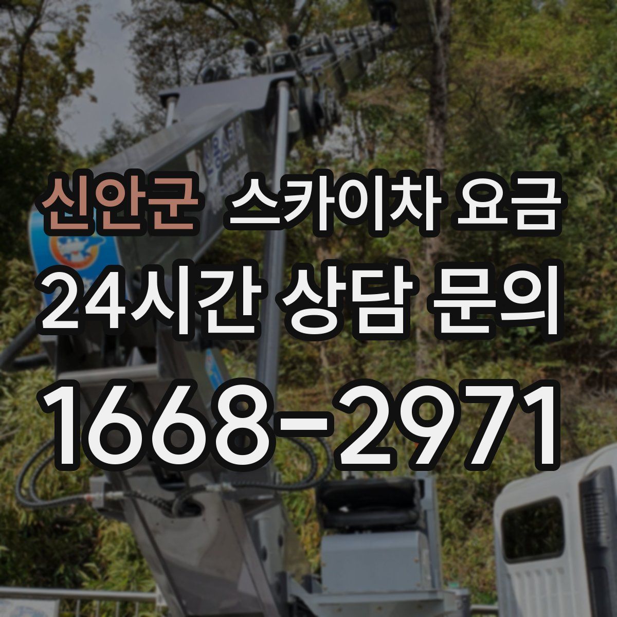 신안군 스카이차 요금